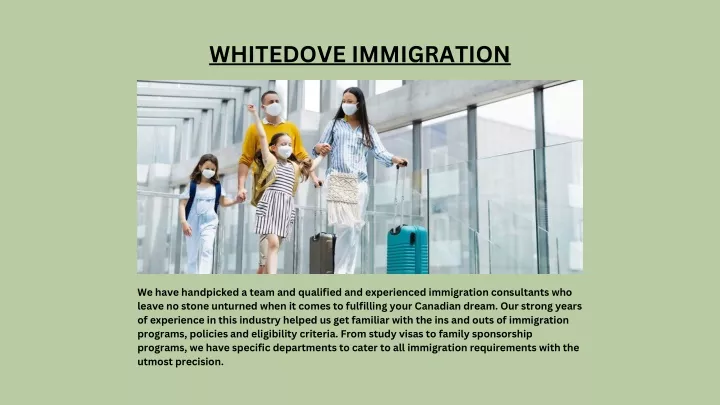 whitedove immigration