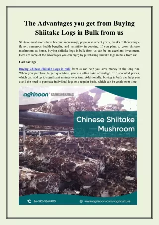 The Advantages you get from Buying Shiitake Logs in Bulk from us