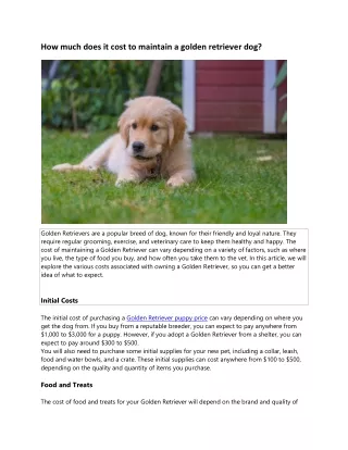 How much does it cost to maintain a golden retriever dog?