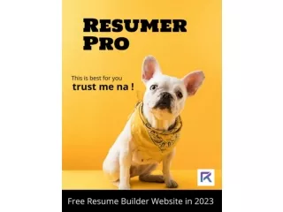 Resumerpro free resume building site