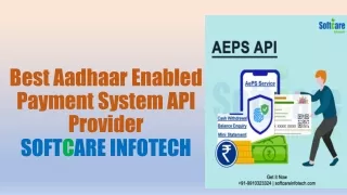 best aadhaar enabled payment system api provider soft c are infotech