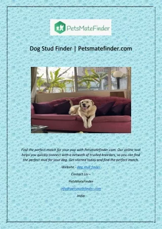 Dog Stud Finder | Petsmatefinder.com