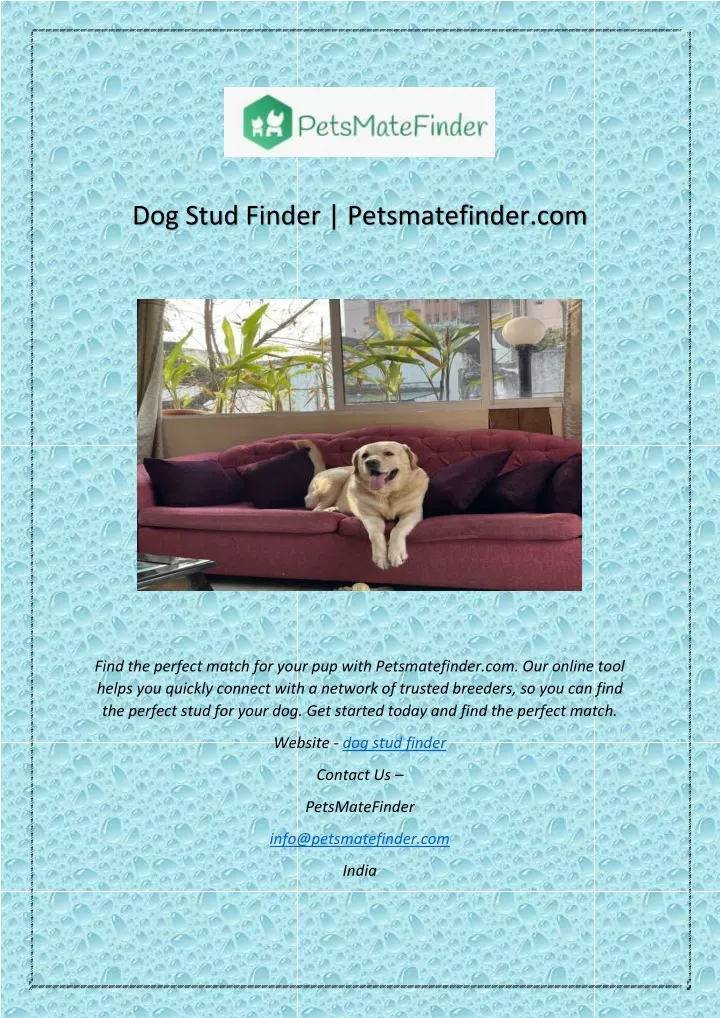 dog stud finder petsmatefinder com