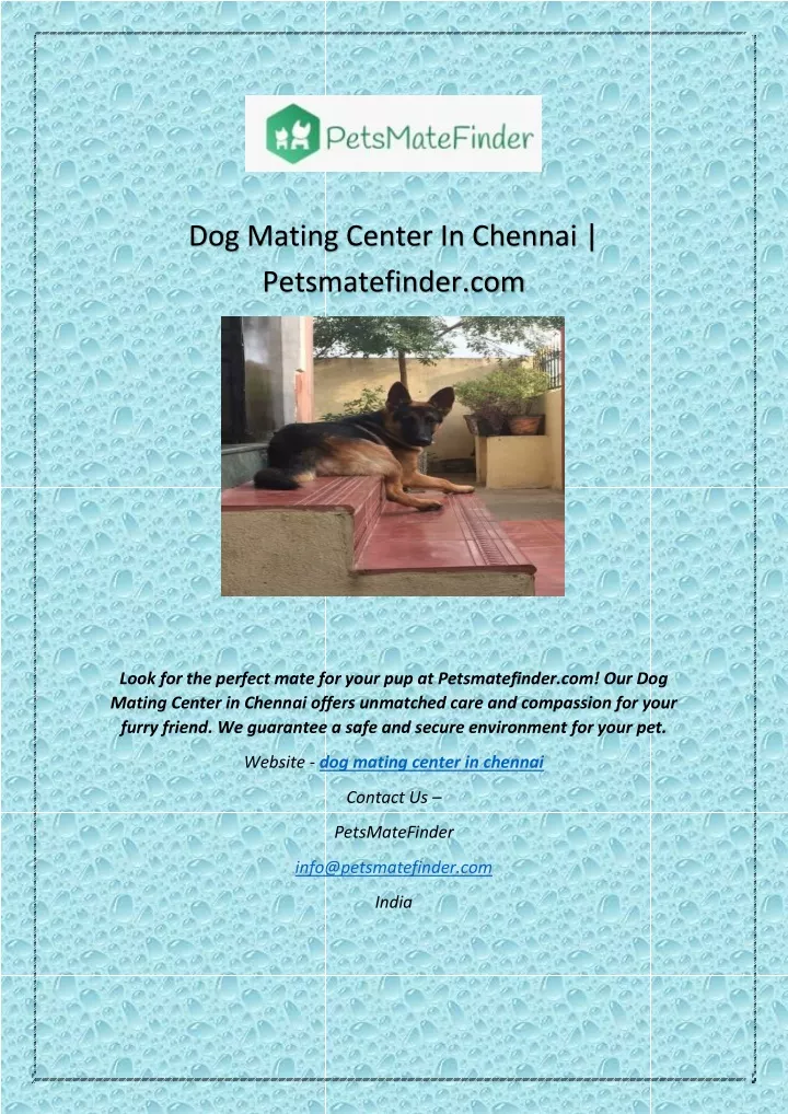 PPT Dog Mating Center In Chennai PowerPoint