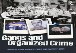 PDF Gangs and Organized Crime kindle