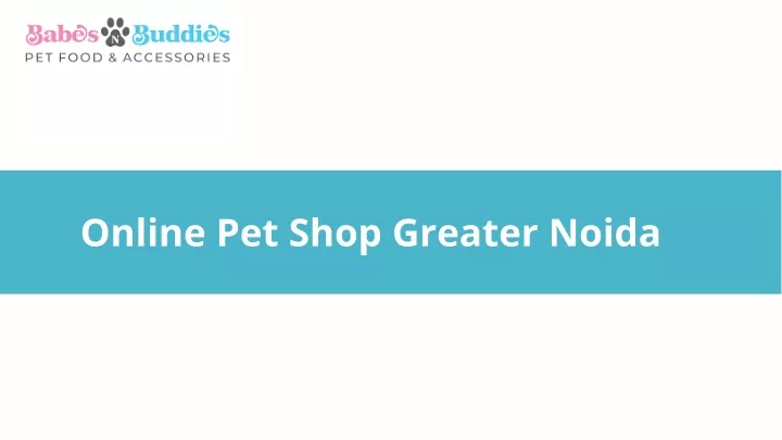 online pet shop greater noida