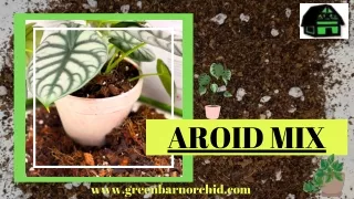 Buy Best Quality Aroid Mix which Contains Valuable Nutrients - Green Barn Orchid