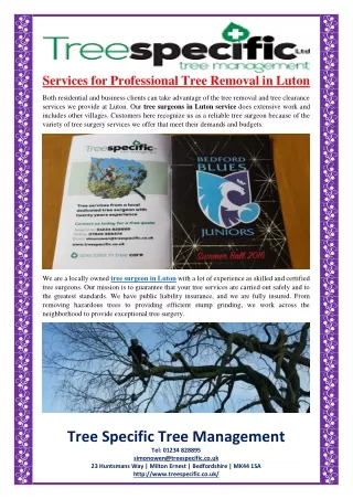 services for professional tree removal in luton