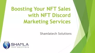 Well- planned NFT discord marketing services