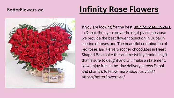 infinity rose flowers
