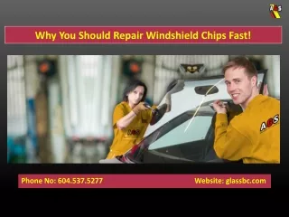 Why You Should Repair Windshield Chips Fast!