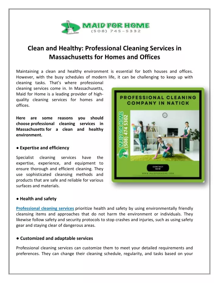 clean and healthy professional cleaning services