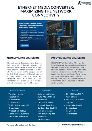 Versitron Ethernet Media Converter
