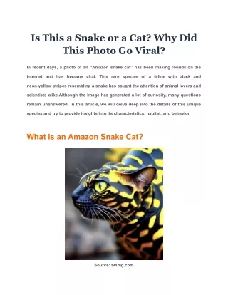 Is This a Snake or a Cat Why Did This Photo Go Viral