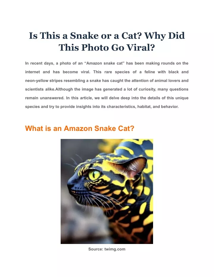 is this a snake or a cat why did this photo