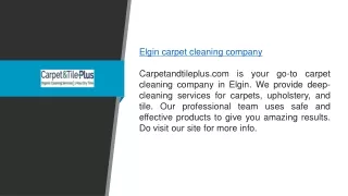 Elgin Carpet Cleaning Company Carpetandtileplus.com
