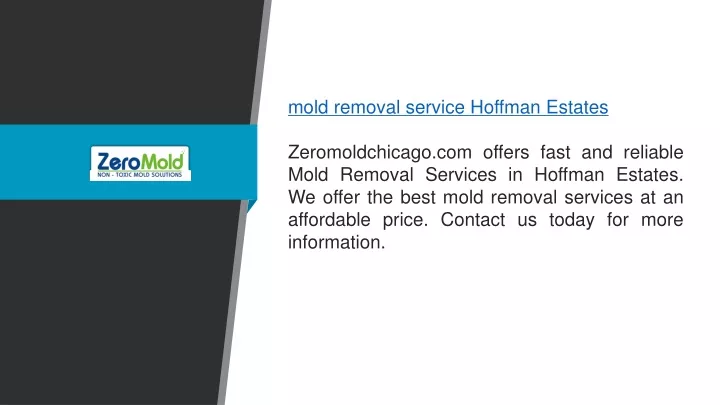 mold removal service hoffman estates