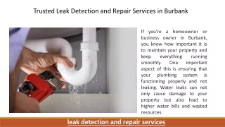 Trusted Leak Detection and Repair Services in Burbank