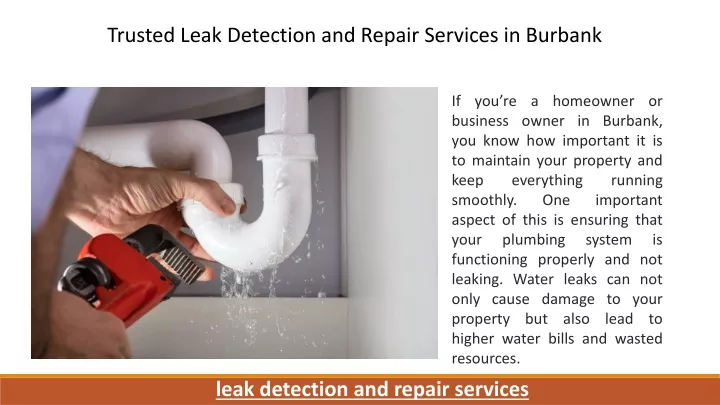 trusted leak detection and repair services