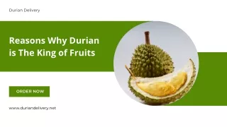 Online Durian Delivery