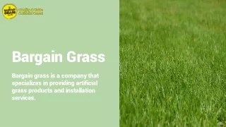 bargain grass