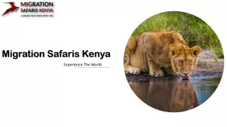 Masai mara flight safari package