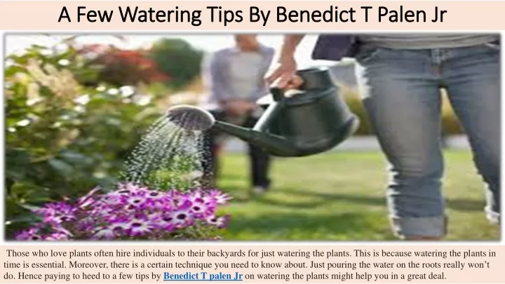 a few watering tips by benedict t palen jr