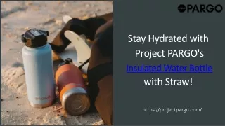 Stay Hydrated with Project PARGO's Insulated Water Bottle with Straw!