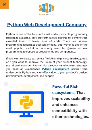 Python Web Development Company - Verve Systems
