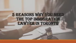 5 Reasons Why You Need the Top Immigration Lawyer in Toronto