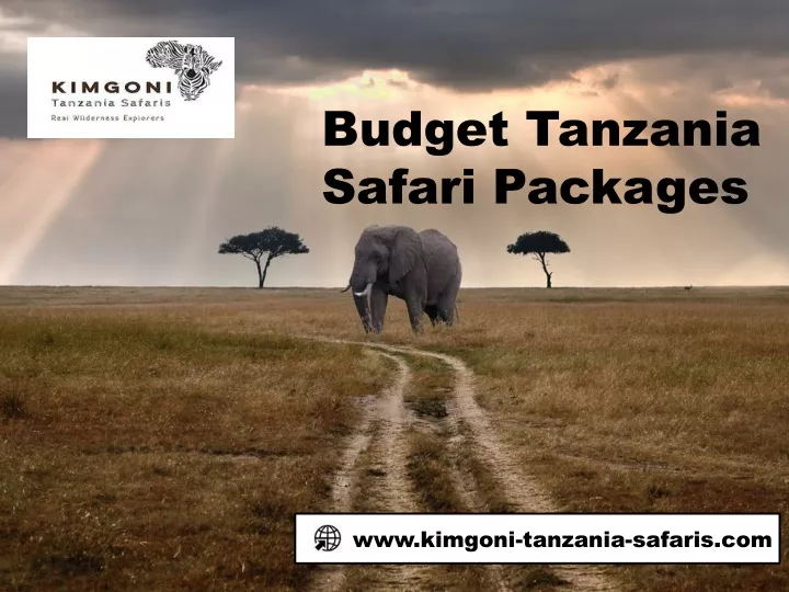 budget t anzania s afari packages