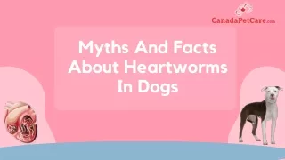 Myths and Facts about Heartworms in dogs