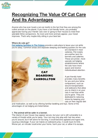 recognizing the value of cat care