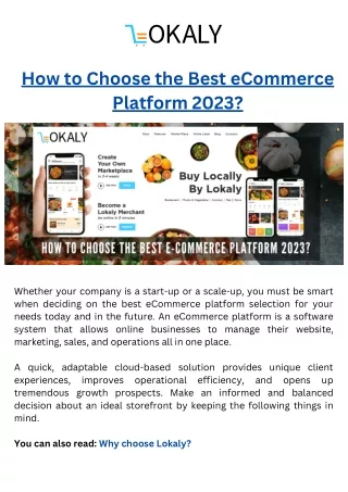 How to Choose the Best eCommerce Platform 2023 | Lokaly