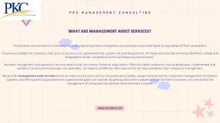 Explain how Management audit services as an effective technique