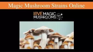 magic mushroom strains online