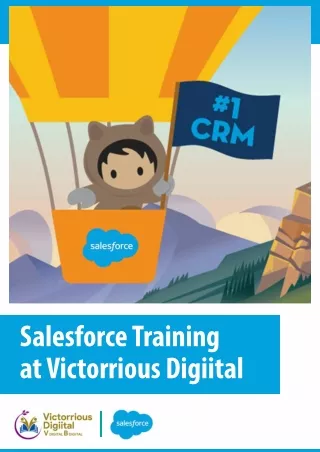 Salesforce Course Syllabus, Duration & Fees – Victorious Digital