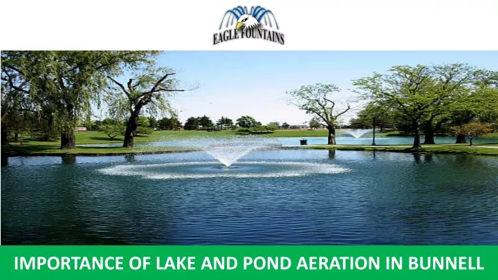 importance of lake and pond aeration in bunnell