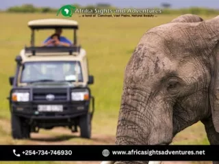 Enjoying the Best Wildlife Adventure Activities While In Kenya