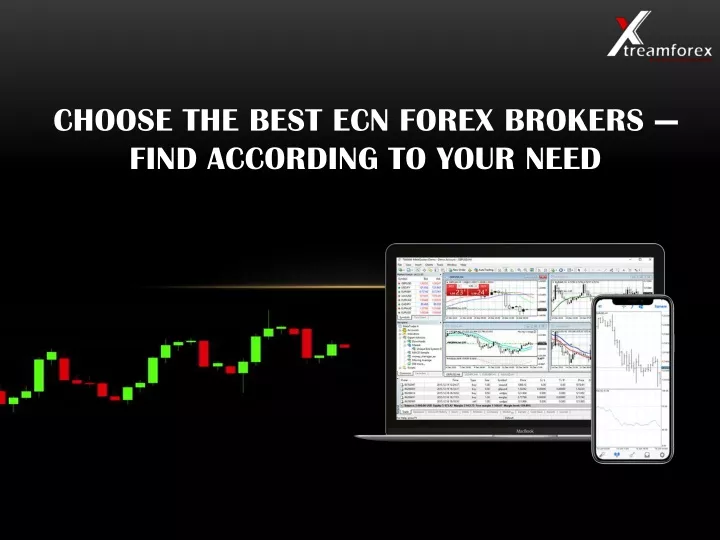choose the best ecn forex brokers find according to your need