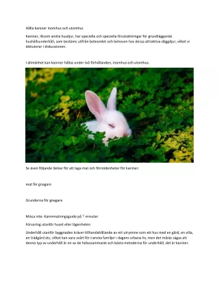 Hålla kaniner inomhus och utomhus
