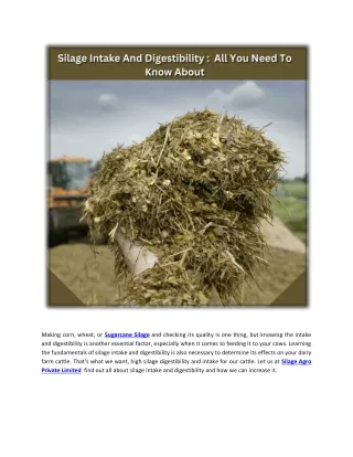 silage intake and digestibility_ all you need to know about