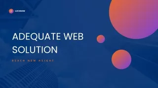 Adequate Web Solution ppt_