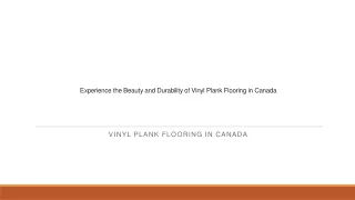 Experience the Beauty and Durability of Vinyl Plank