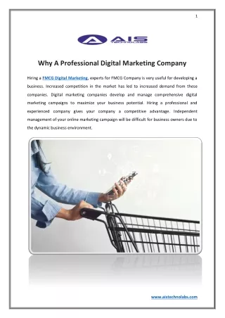 Why A Professional Digital Marketing Company