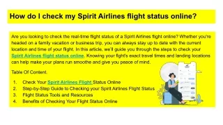 What is Spirit Airlines Flight Status