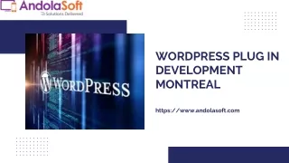 wordpress plug in development montreal
