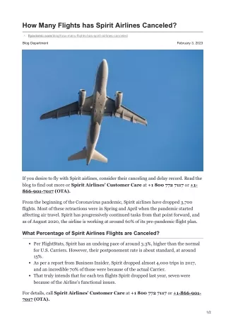 How Many Flights has Spirit Airlines Canceled? - flyavionic.com