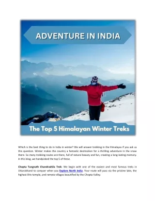the top 10 himalayan winter treks