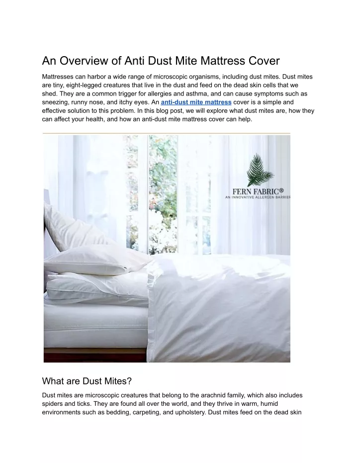 an overview of anti dust mite mattress cover